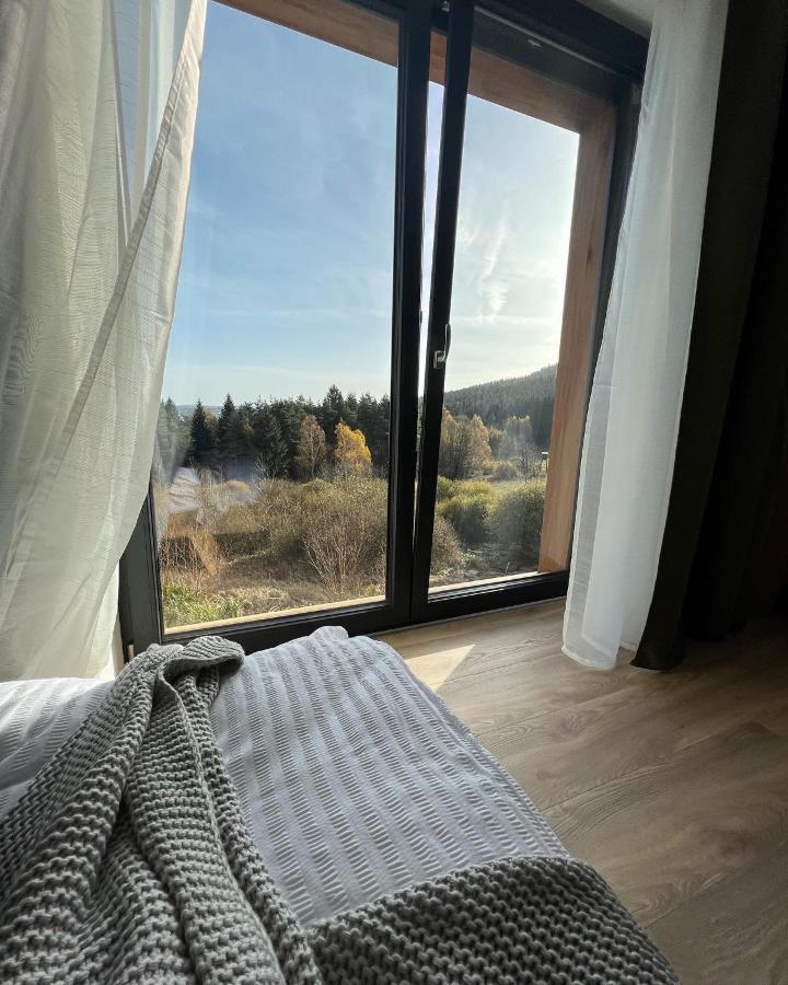 Vila Dvorecna Villa Loucovice Bagian luar foto