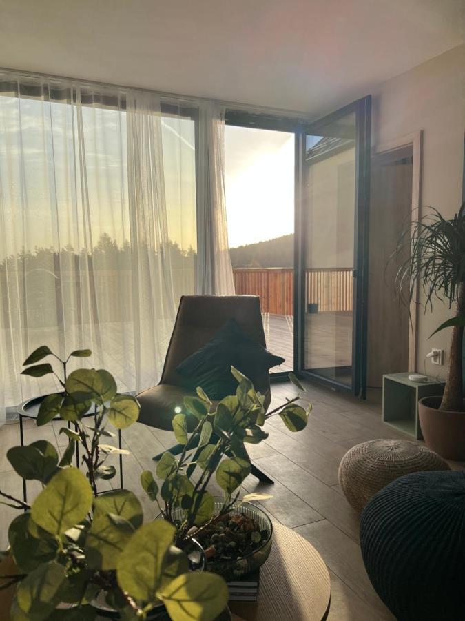 Vila Dvorecna Villa Loucovice Bagian luar foto