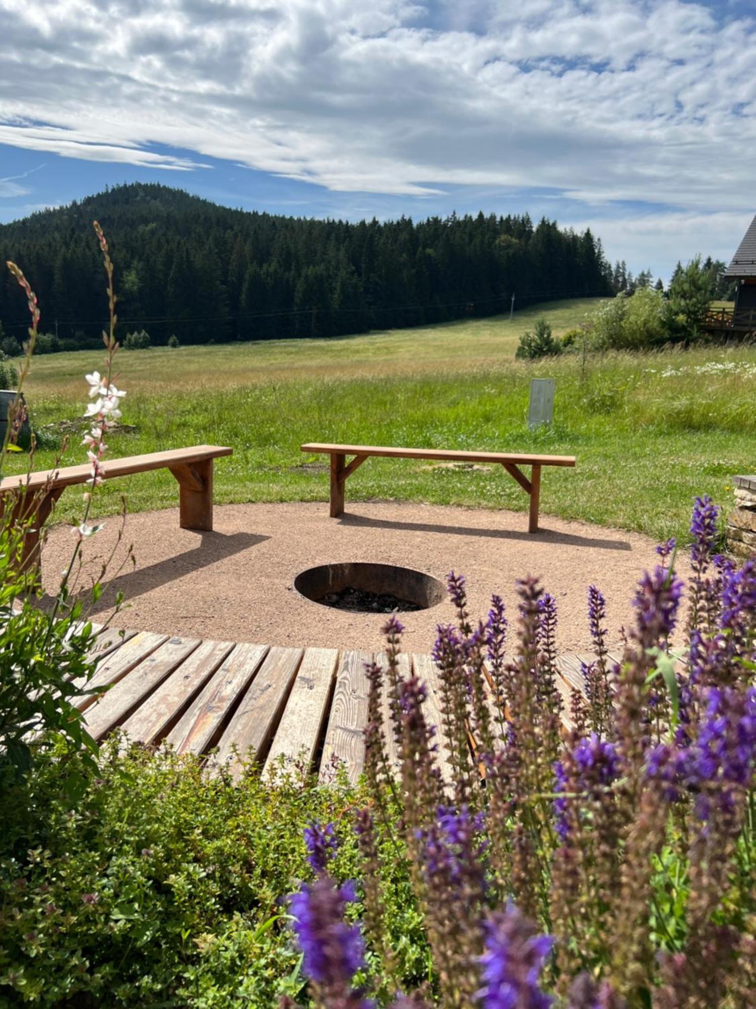 Vila Dvorecna Villa Loucovice Bagian luar foto