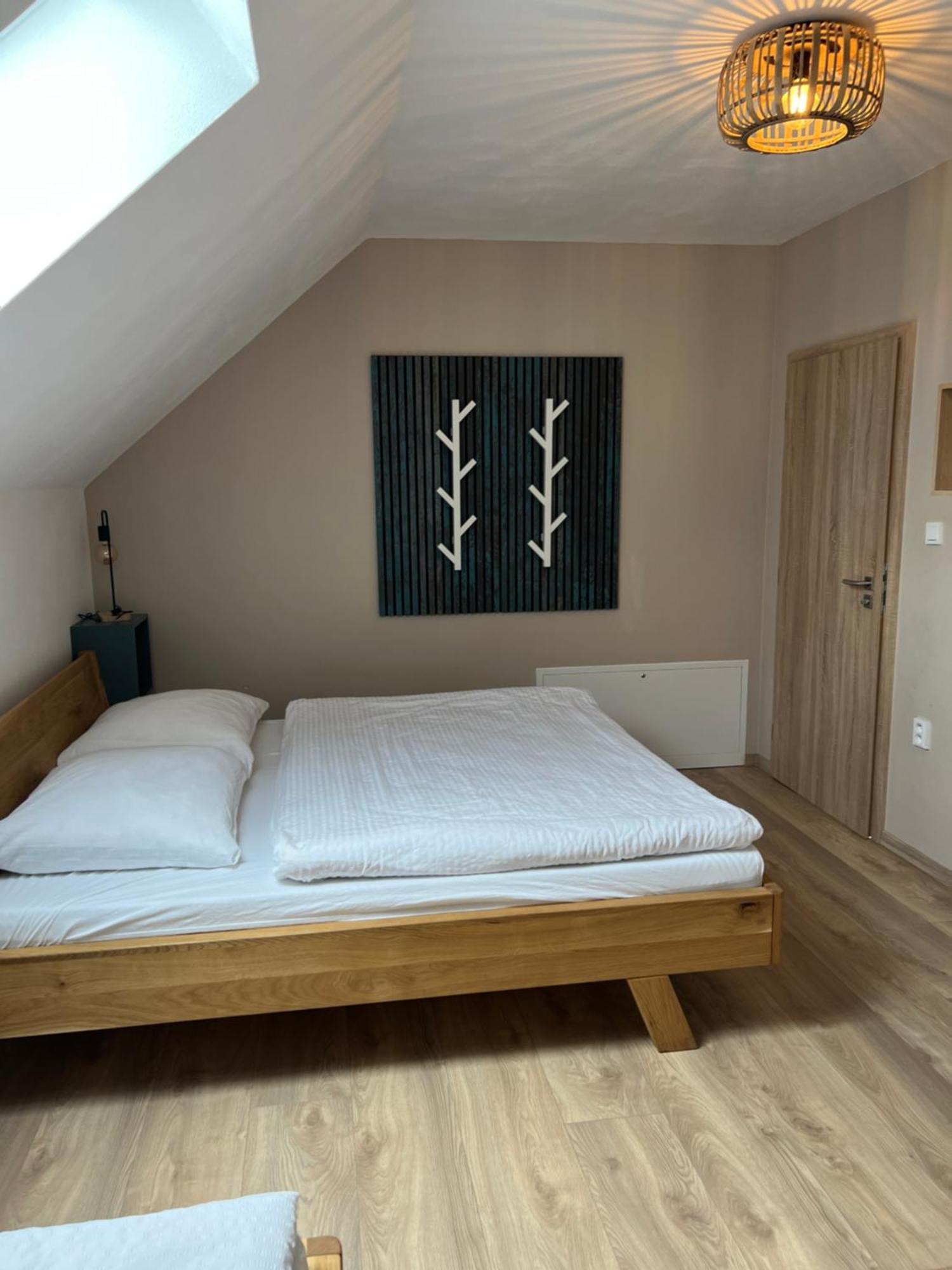 Vila Dvorecna Villa Loucovice Bagian luar foto